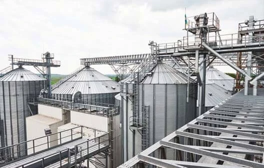 Best SSMD Branding Company Australia