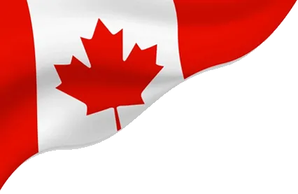 Top SSMD Marketing Expert Canada Near Me