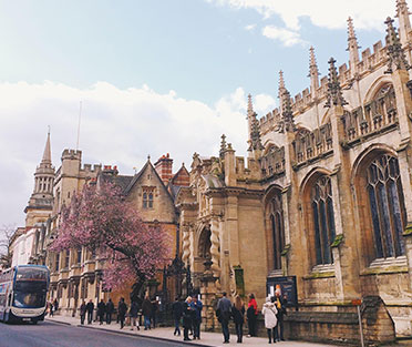 Best SSMD Marketing Expert London