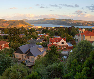 Best SSMD Advertising Agencies New Zeland