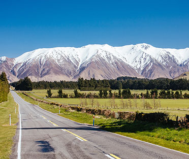 Best SSMD Marketing Expert New Zeland