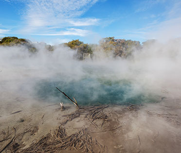 Best SSMD Marketing Services Company New Zeland