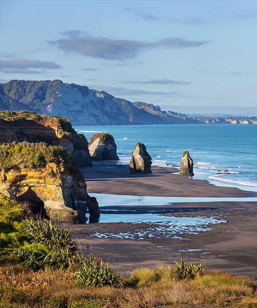 Best SSMD Marketing Services New Zeland