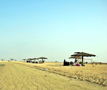 Best SSMD Marketing Firms Qatar