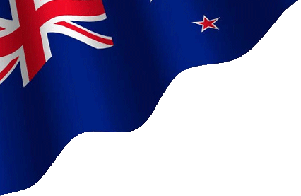 Top SEO Agency in Auckland