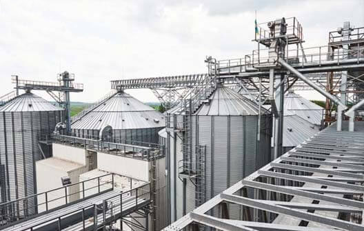 Top SEO Company in Denver Near Me