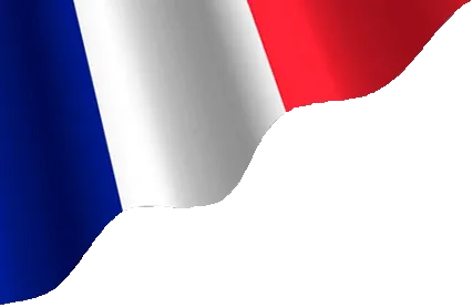 Top SEO Agency in Marseille