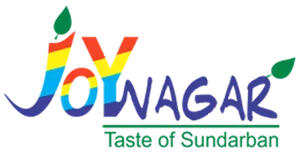 Best SEO Agency in Savannah Near Me