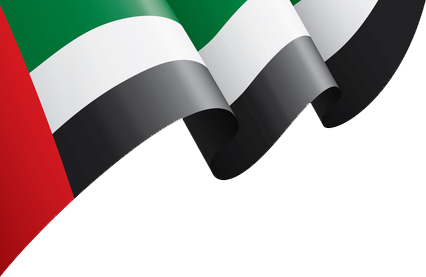 Top SEO Agency in Dubai